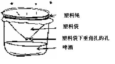 1609920751108504.png 3.png